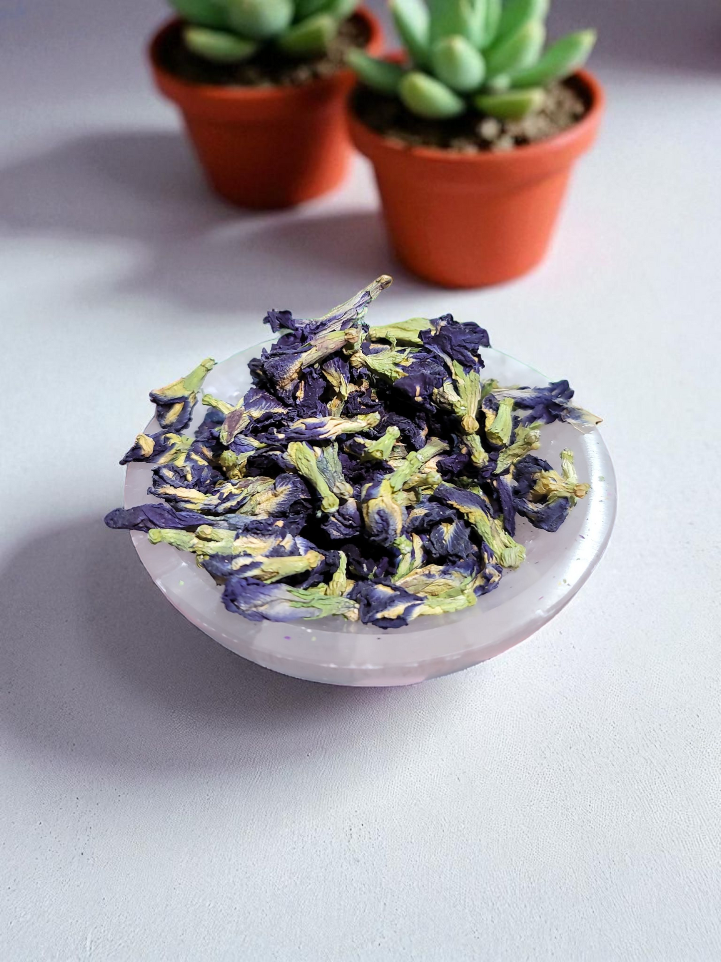 Butterfly Pea Flower