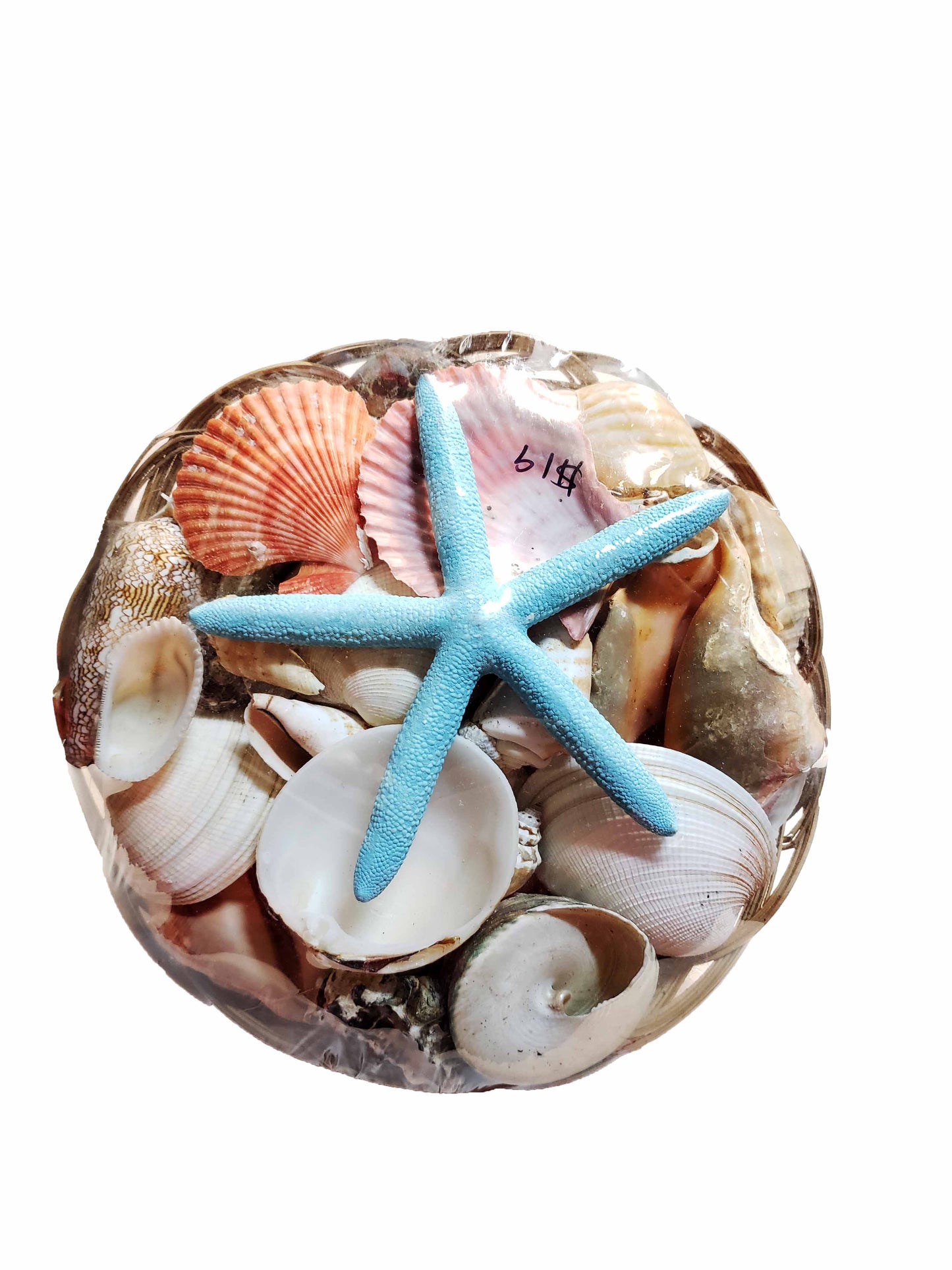 Mix Sea Shell