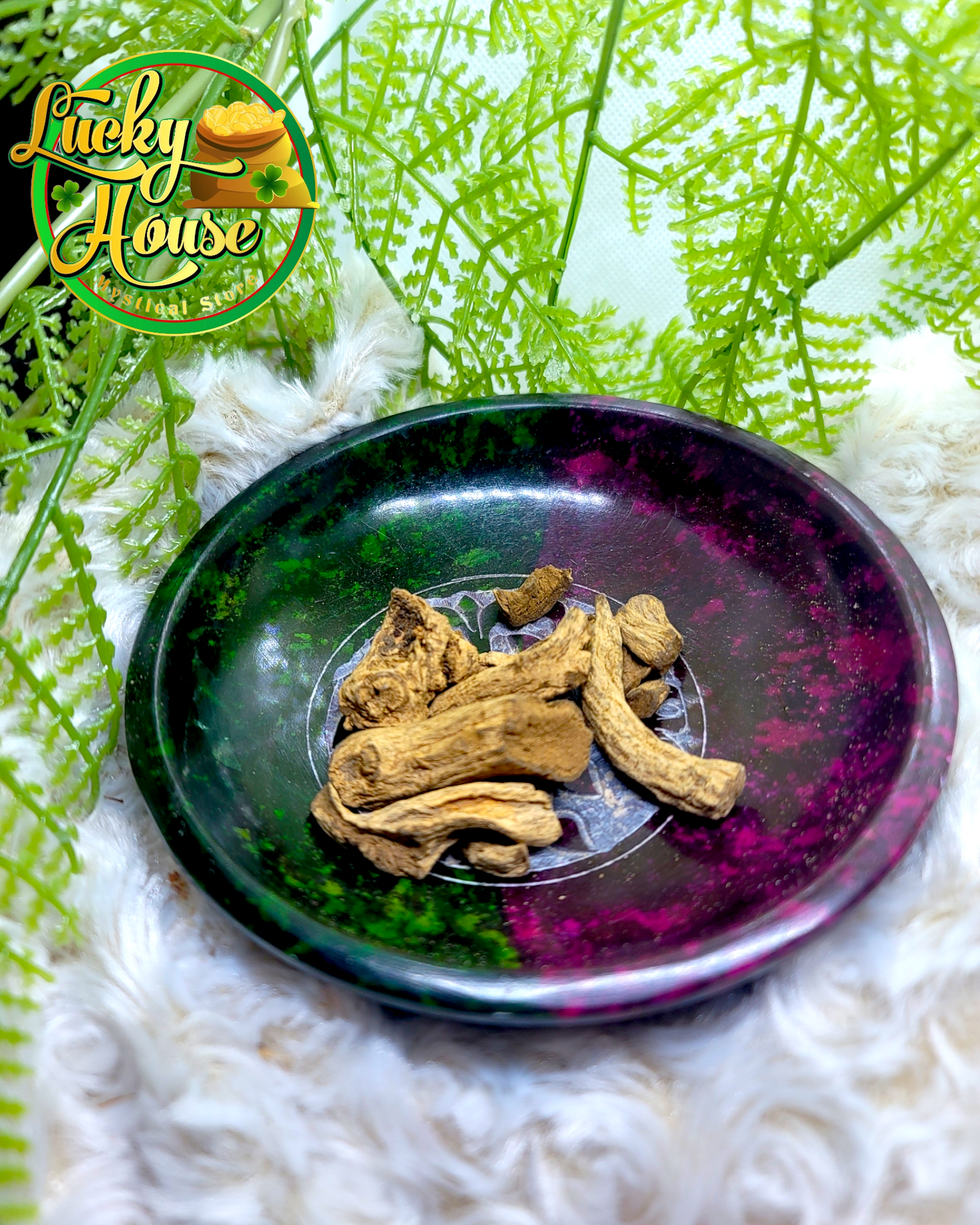 Low John Root – Spiritual root used for confidence, strength, and good luck