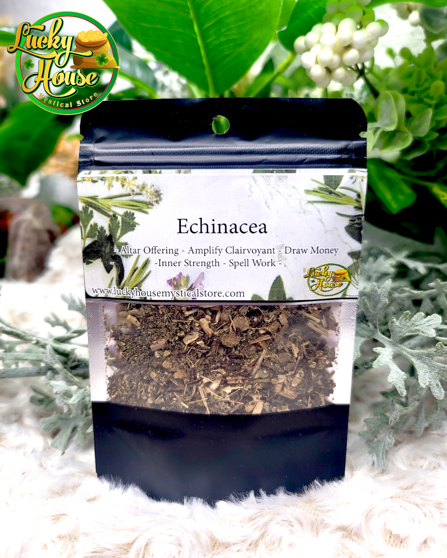 Echinacea