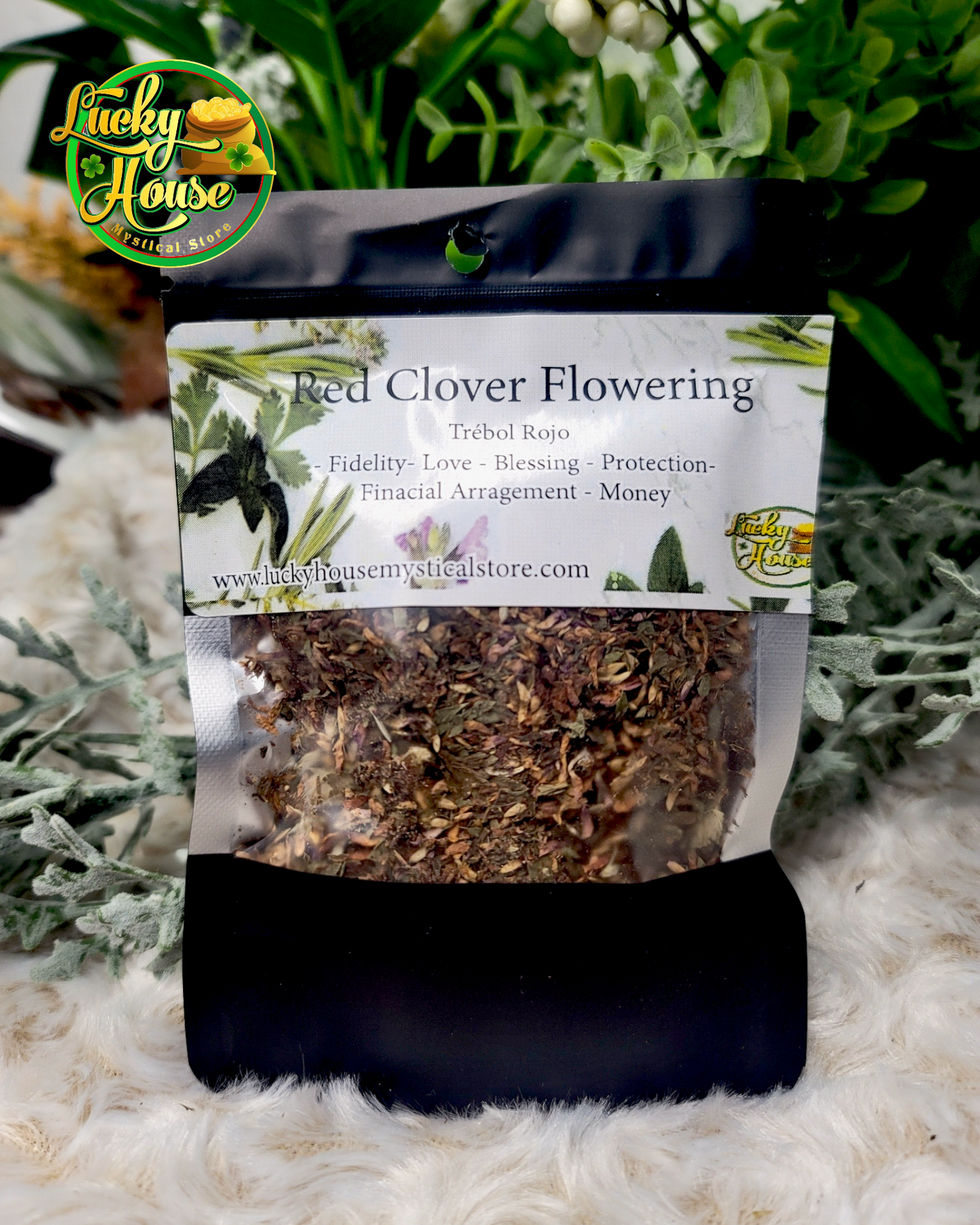 Red Clover Flowering