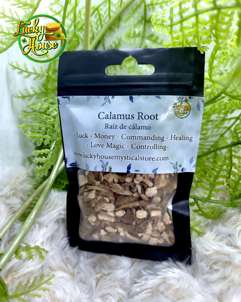 Calamus Root (powder)