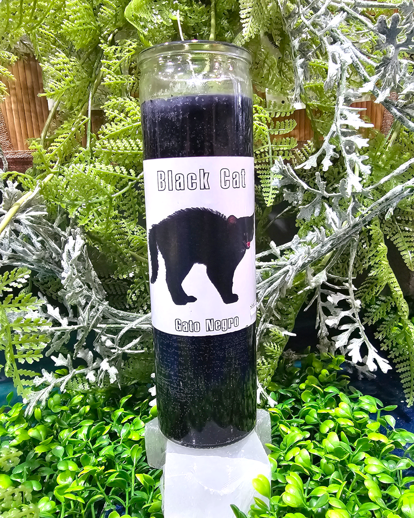 Gato Negro Vela Espiritual