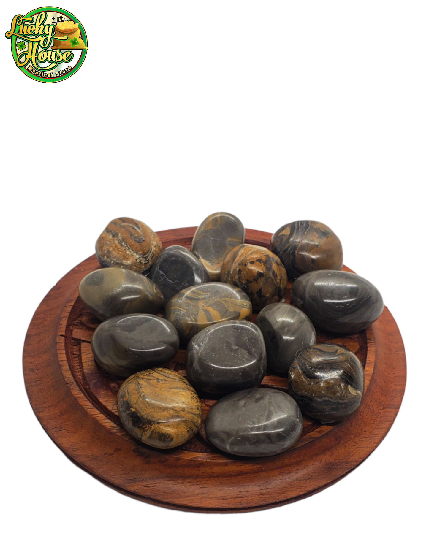 Stromatolite Tumbled Stone