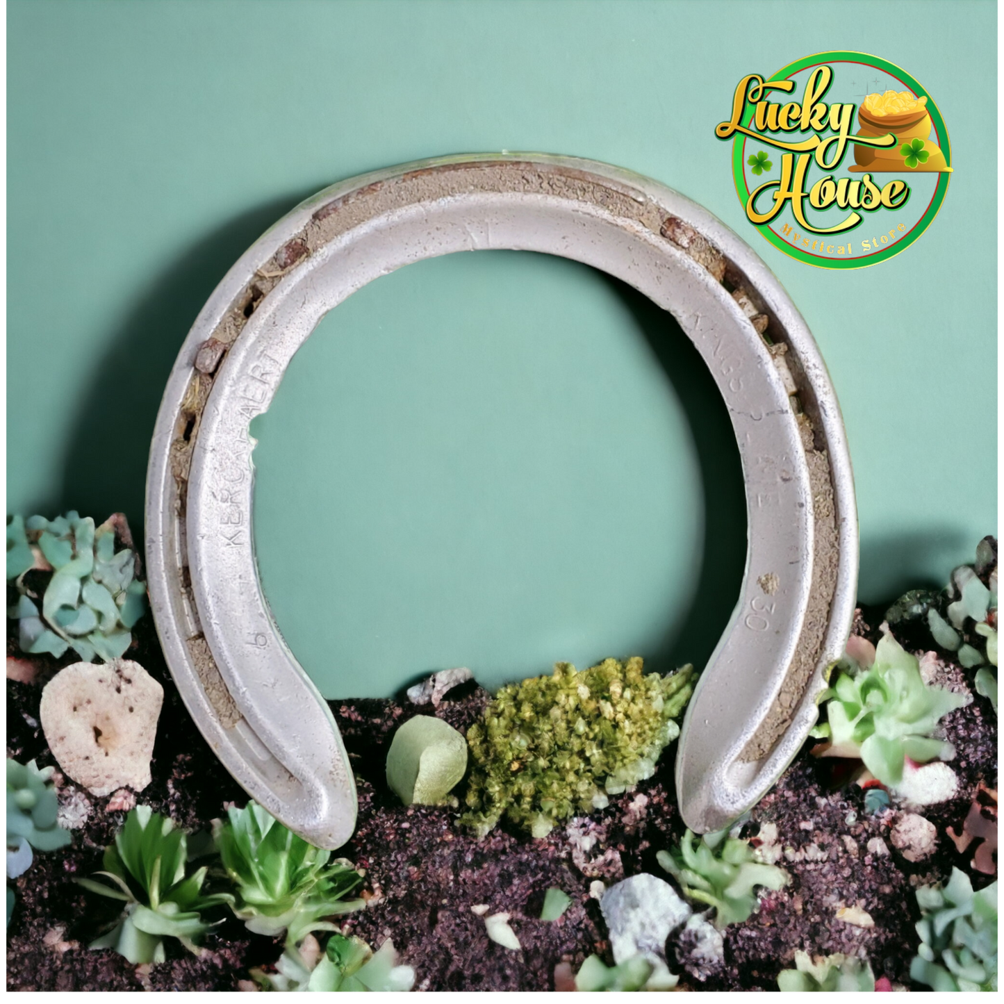 Used Horse Shoe