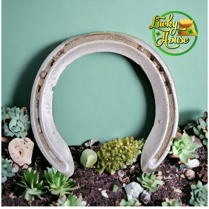 Used Horse Shoe