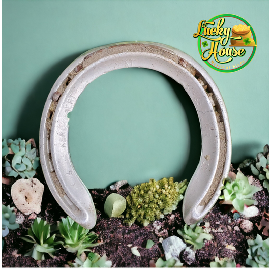 Used Horse Shoe