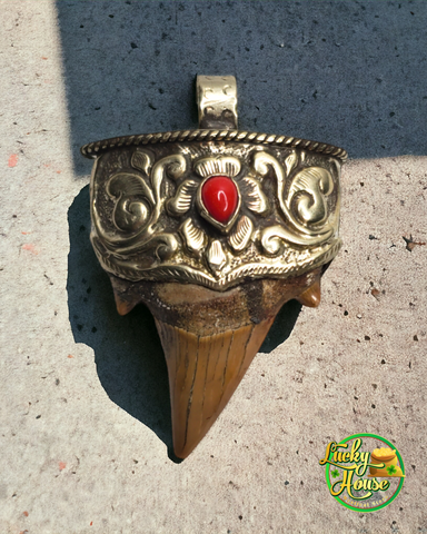 Shark Tooth Pendant