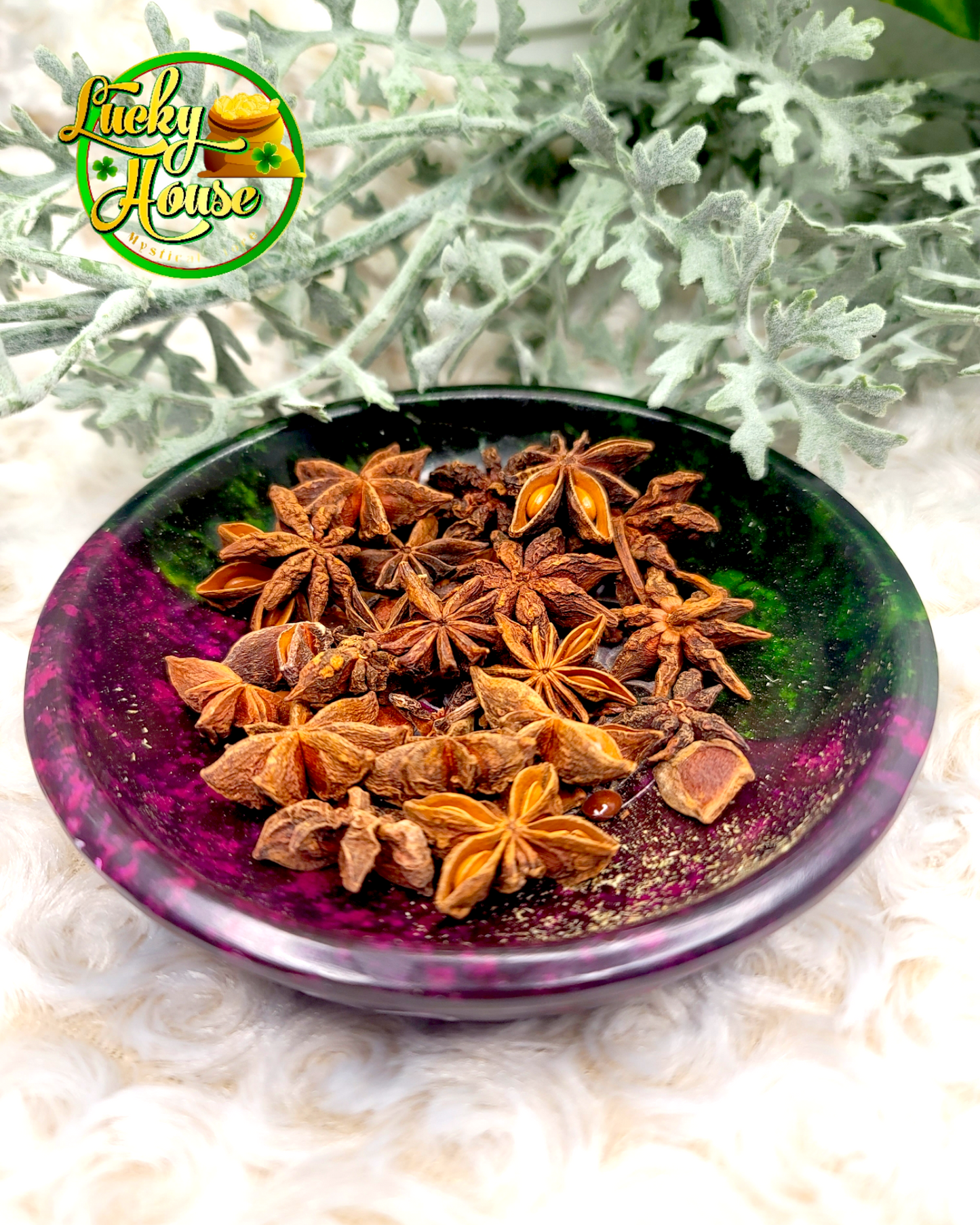 Star Anise Whole Herb