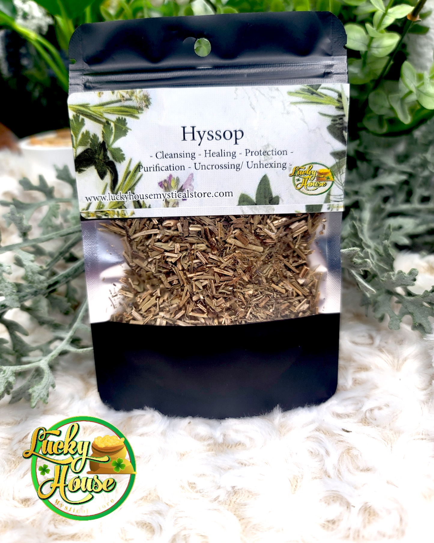 Hyssop Herb