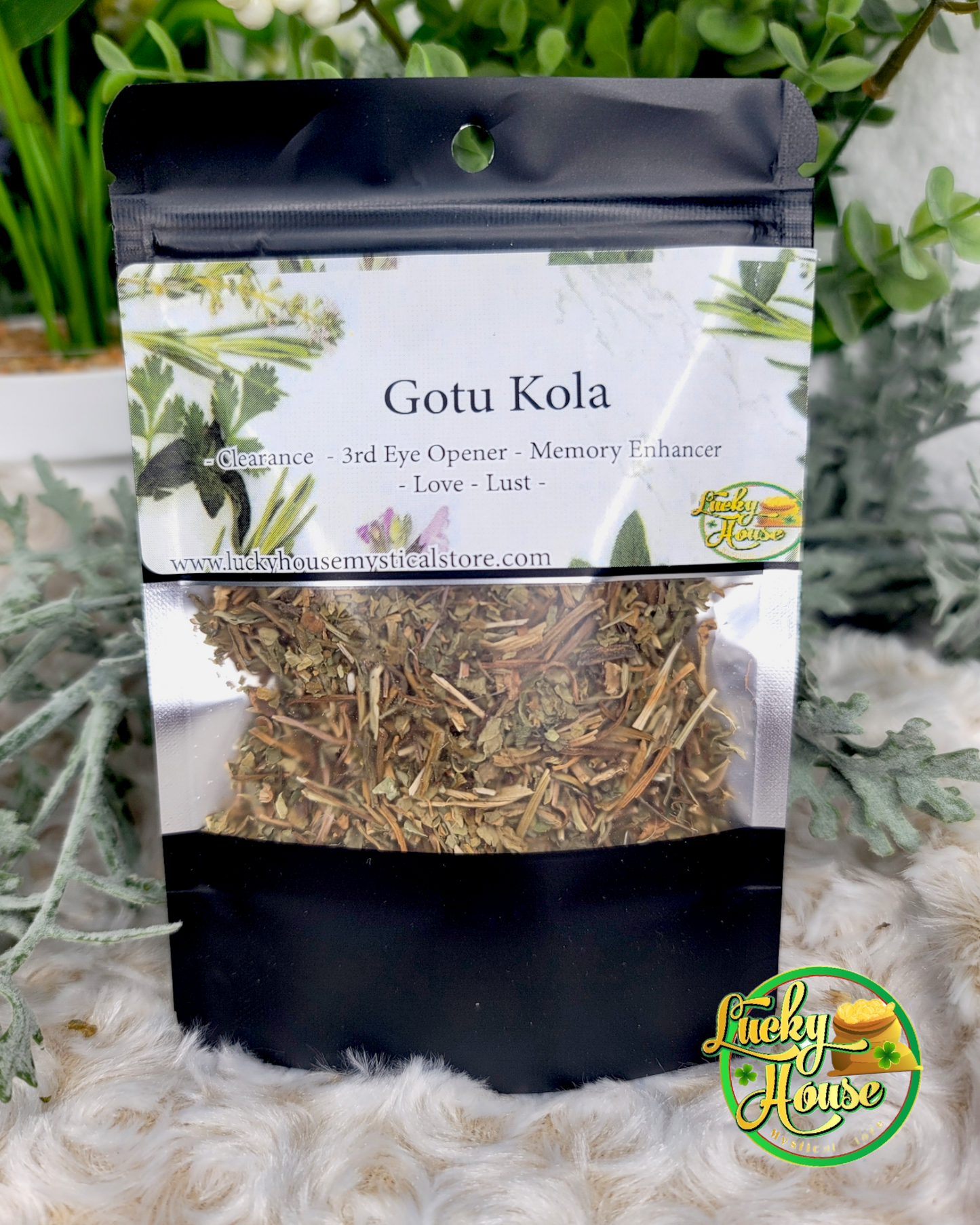 Gotu Kola