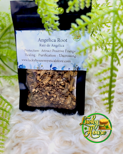 Angelica Root