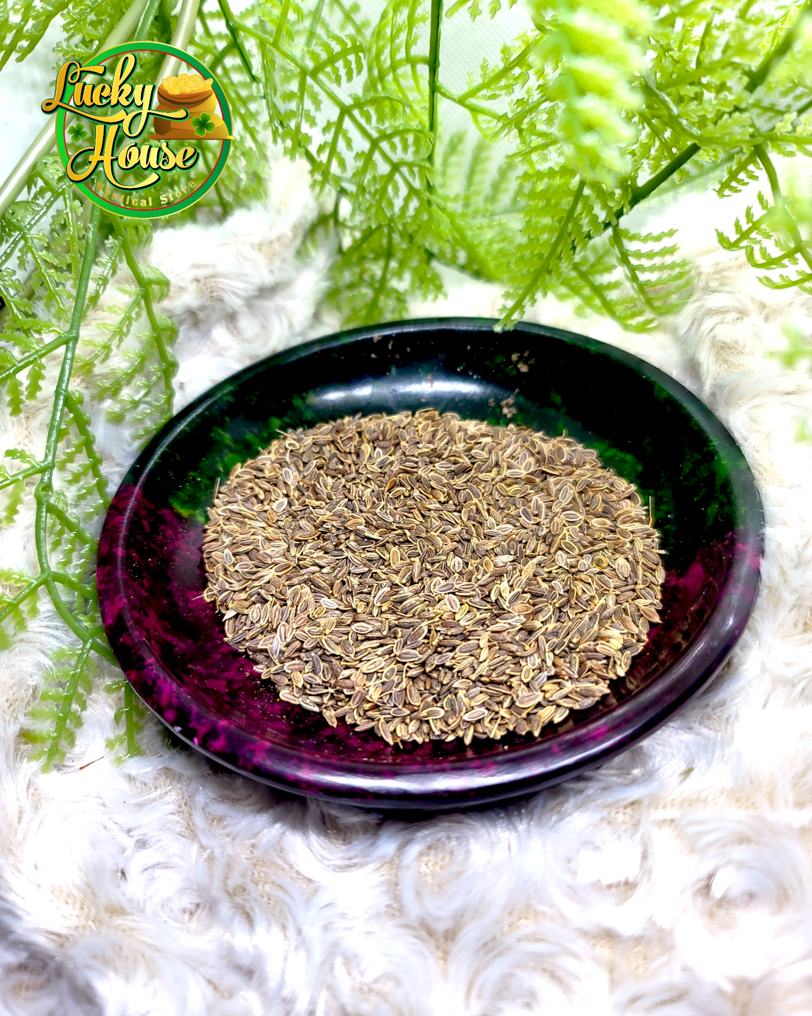 Cumin Seeds Lucky House Mystical Store