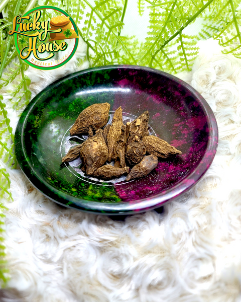 High John The Conqueror Ipomoea Root Importada P • Além de Salém High John The Conqueror Ipomoea Root Importada P • Além de Salém