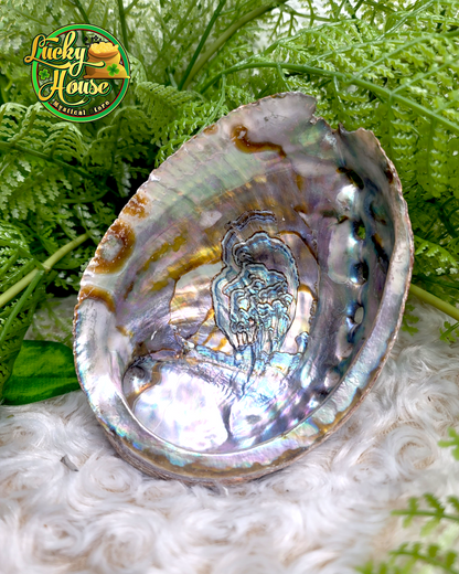 Abalone Shell