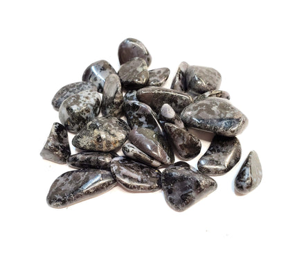 Indigo Gabbro Tumbled Stone